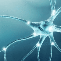 method Neural method Neural